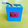 12V 45Ah LiFePo4 Battery Pack